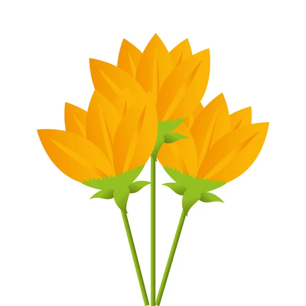Sárga virágok csokor virág rajzolatú — Stock Vector