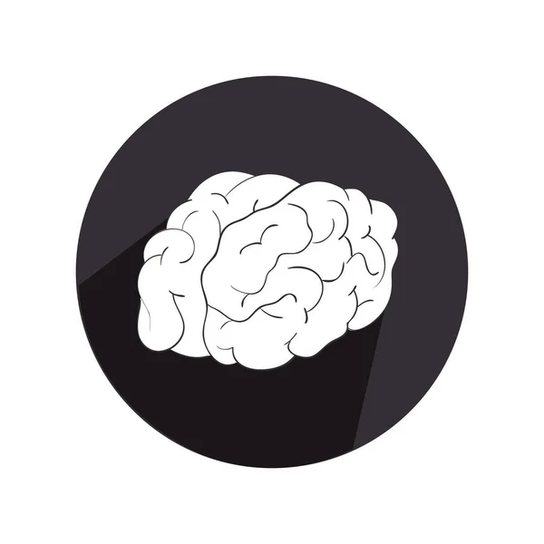 Borda circular com silhueta vista cérebro lateral na cor monocromática — Vetor de Stock