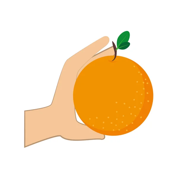 Silueta colorida mano sosteniendo fruta naranja — Vector de stock