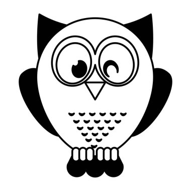 baykuş kuş izole simgesi