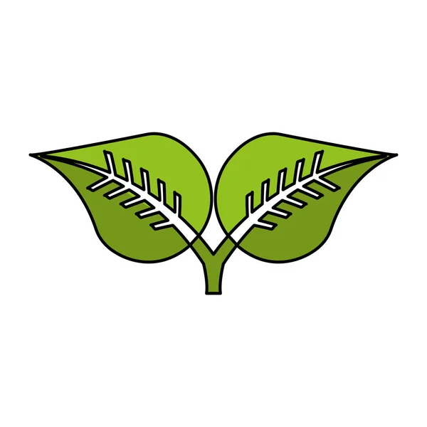 Planta hojas aislado icono — Archivo Imágenes Vectoriales
