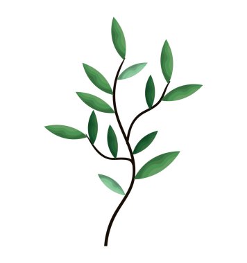 bitki dekoratif simgesi yapraklar