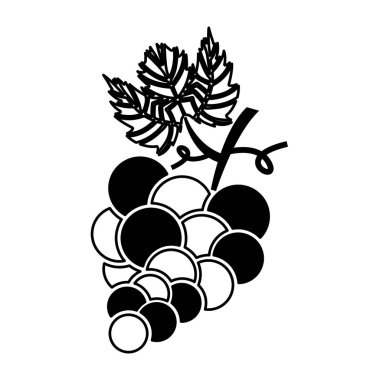 üzüm meyve izole simgesi