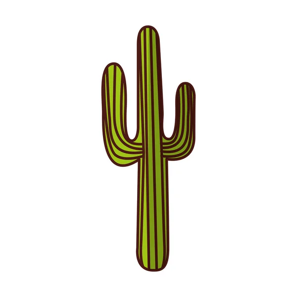 サボテン砂漠植物のアイコン — ストックベクタ