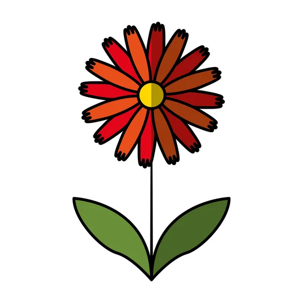 Niedliche Blume Natur-Ikone — Stockvektor