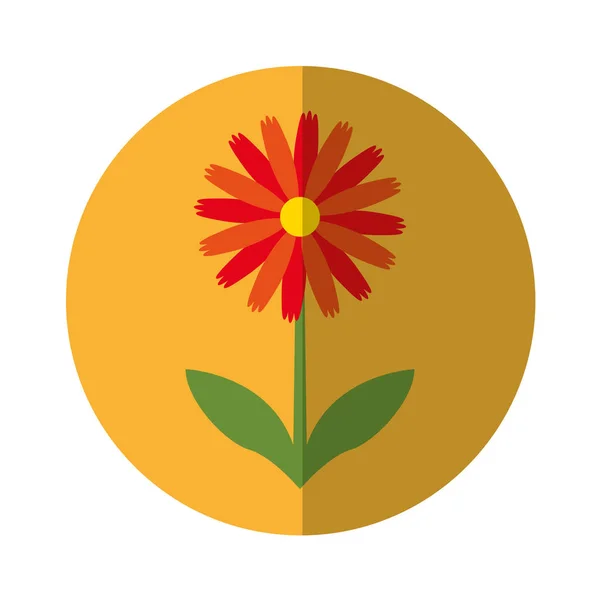 Schattig bloem natuur pictogram — Stockvector