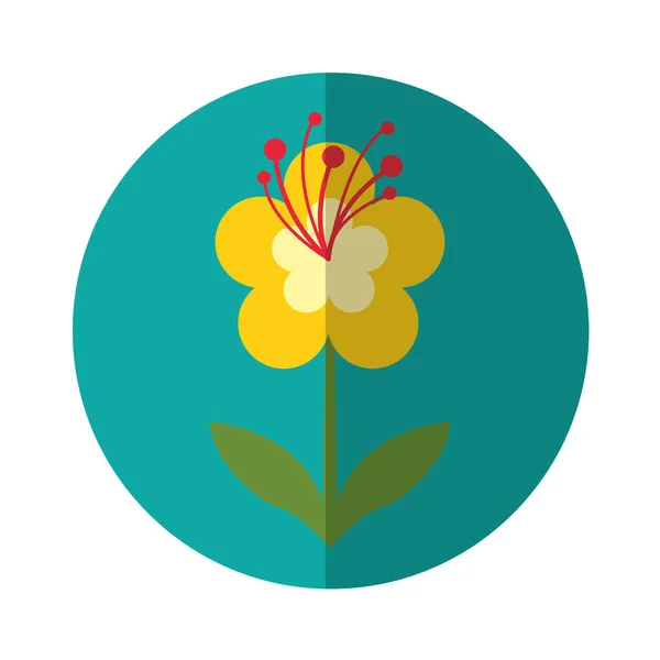 Schattig bloem natuur pictogram — Stockvector