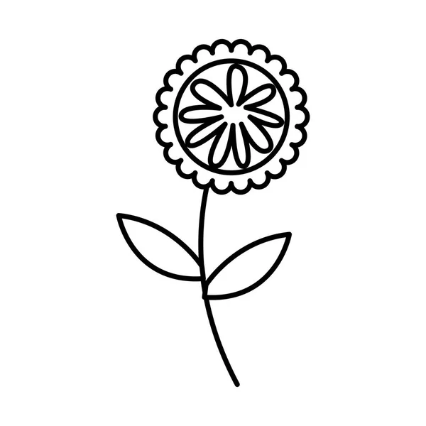 Niedliche Blume Natur-Ikone — Stockvektor