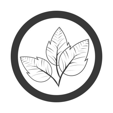 bitki ekoloji sembolü yapraklar