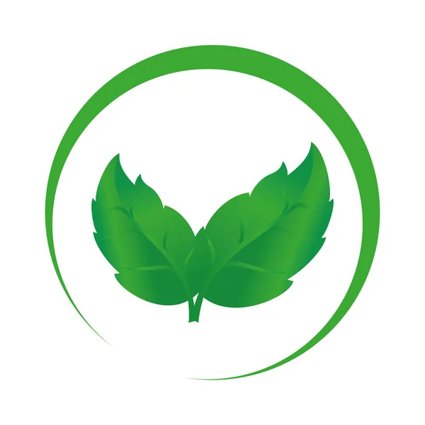 Feuillets écologie végétale symbole — Image vectorielle