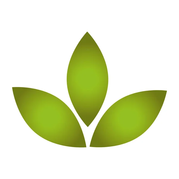 식물 생태학 기호 leafs — 스톡 벡터