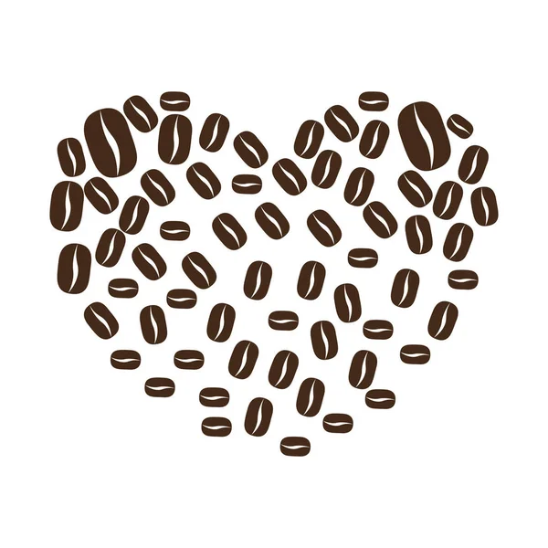 Coffee plant organic product — Stock Vector