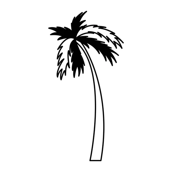Trädikon palm siluett — Stock vektor