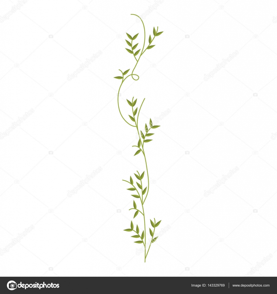 Plante Grimpante Avec Design Nature Feuilles Image