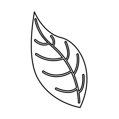 bitki doğal simgesi yapraklar