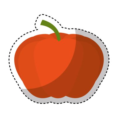 Kabak taze sebze izole simgesi