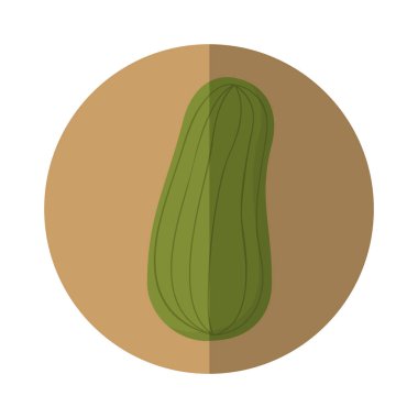 Salatalık taze sebze simgesi