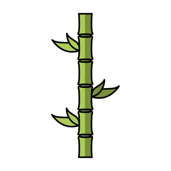 Bamboo plant isolated icon — Stock Vector