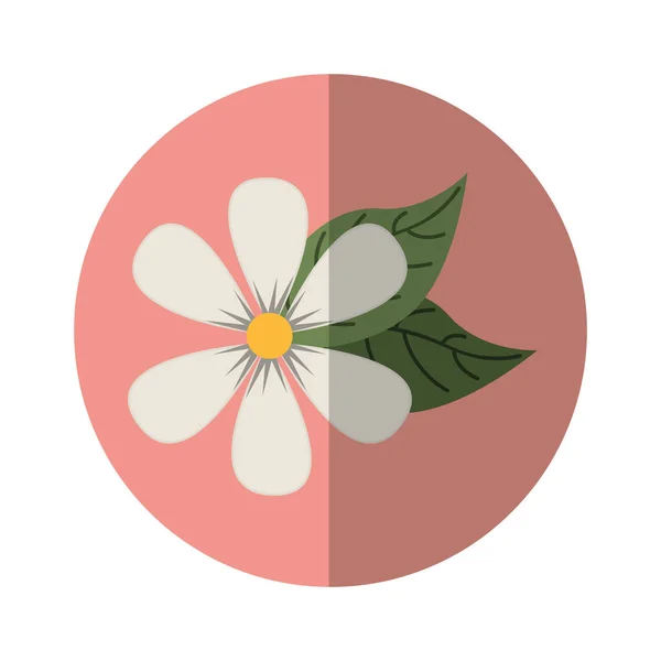 かわいい花スパ エンブレム — ストックベクタ
