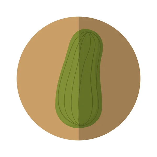 Огірок свіжа овочева ікона — стоковий вектор