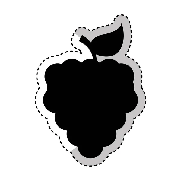 Druiven vers fruit geïsoleerde pictogram — Stockvector