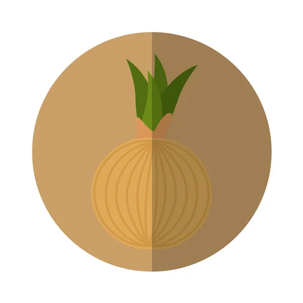 Cibule čerstvé zeleniny izolované ikony — Stockový vektor