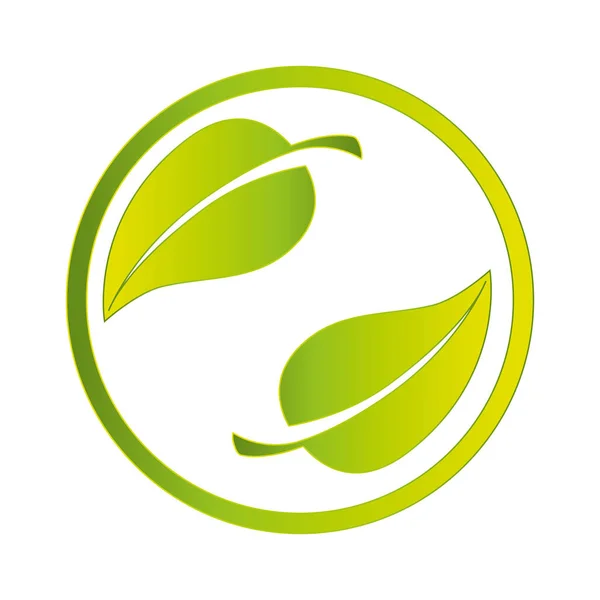 Bladeren van de plant ecologie symbool — Stockvector