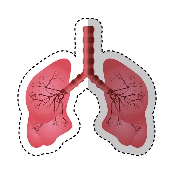 Ikone der menschlichen Lungen — Stockvektor