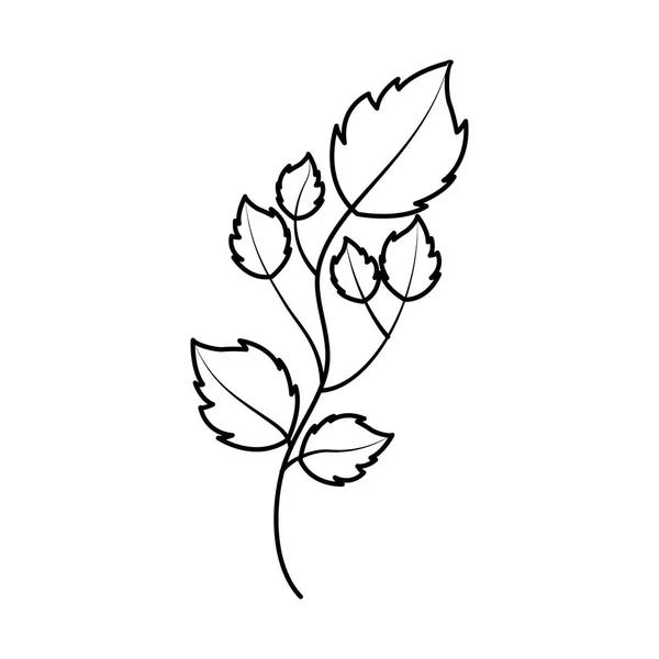Feuilles plante icône naturelle — Image vectorielle