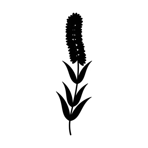 Lindo jardín de flores aislado icono — Vector de stock