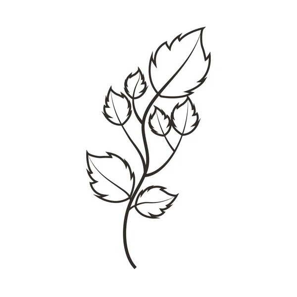 잎 식물 자연 아이콘 — 스톡 벡터
