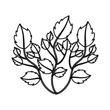 bitki doğal simgesi yapraklar