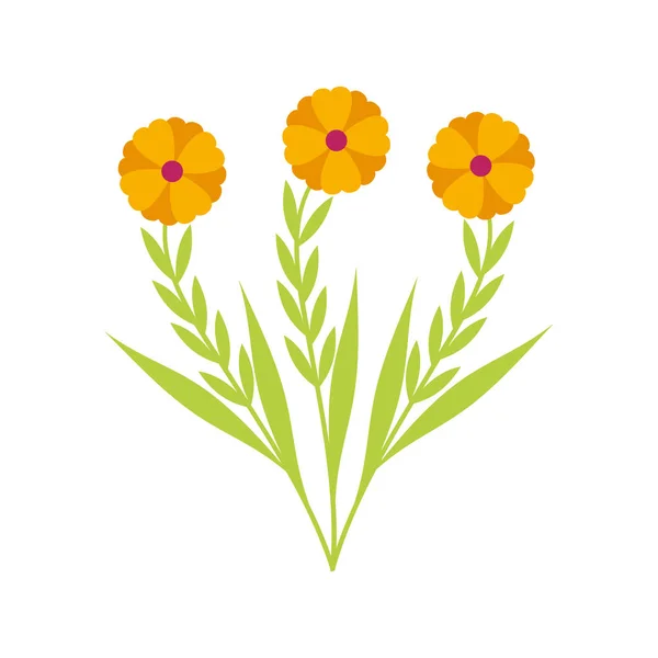 Cute flower garden isolated icon — Stock Vector
