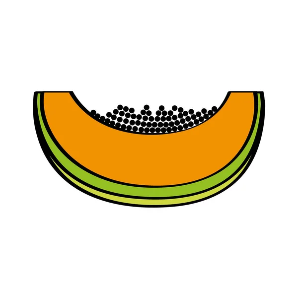 Papaya fresh fruit drawing icon — Stock Vector