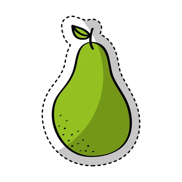 Pear fresh fruit drawing icon — Stock Vector