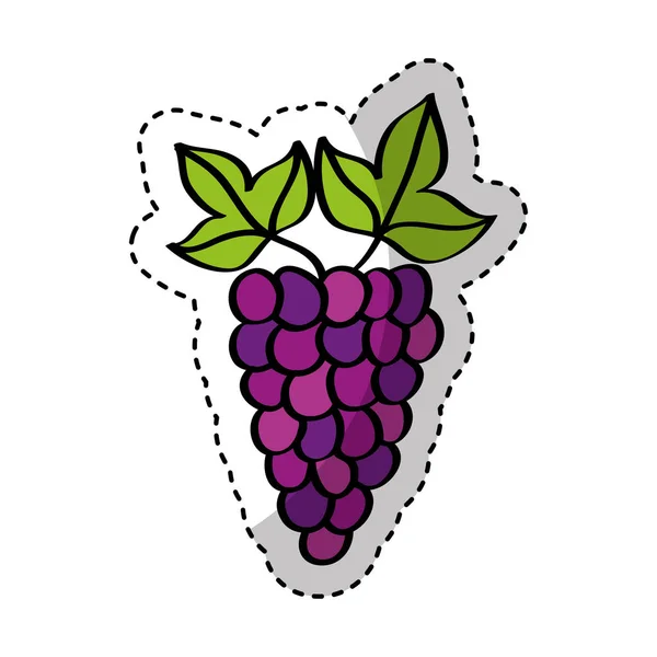 Icono de dibujo de fruta fresca de uvas — Vector de stock