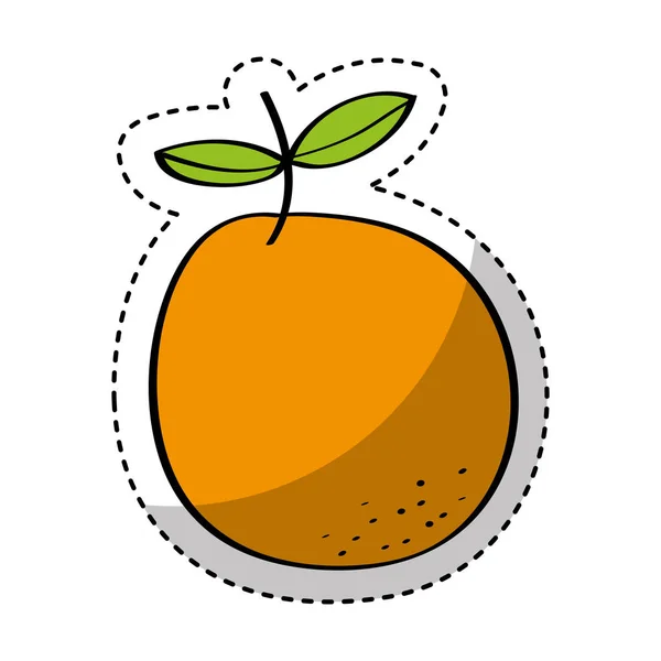 Naranja fruta fresca dibujo icono — Vector de stock