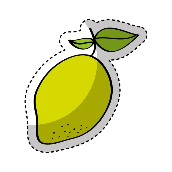 Mango fresh fruit drawing icon — Stock Vector