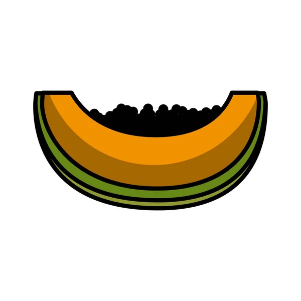 Papaya fresh fruit drawing icon — Stock Vector