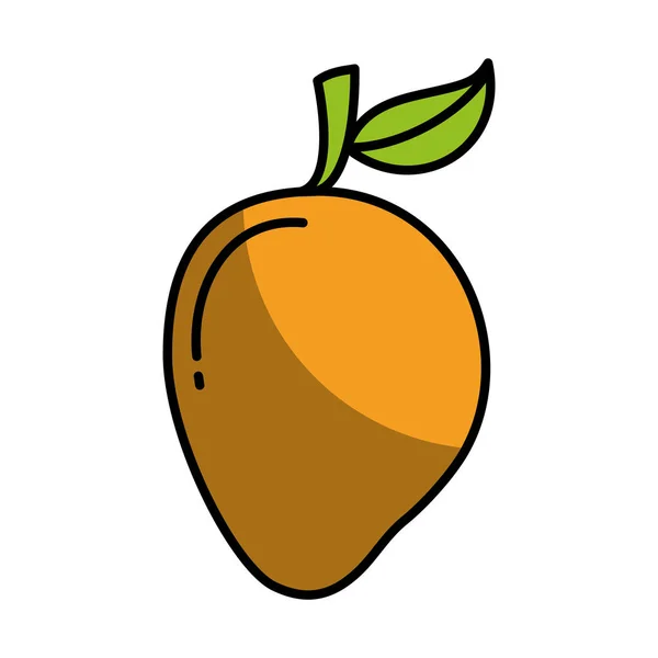Mango fruta fresca dibujo icono — Vector de stock