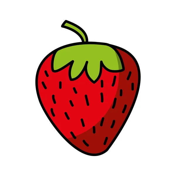 Strawberry fresh fruit drawing icon — Stock Vector