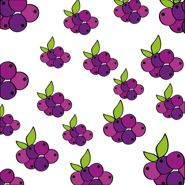Grapes pattern fresh fruit drawing icon — Stock Vector