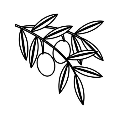 Zeytin tahıl izole simgesi