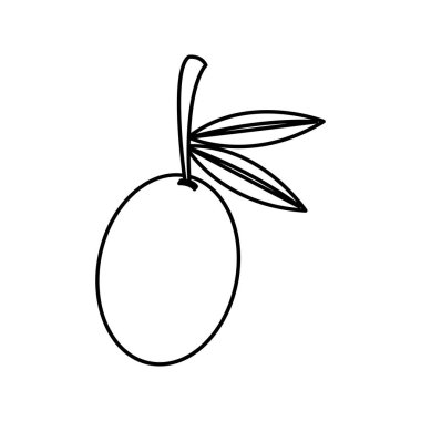 Zeytin tahıl izole simgesi