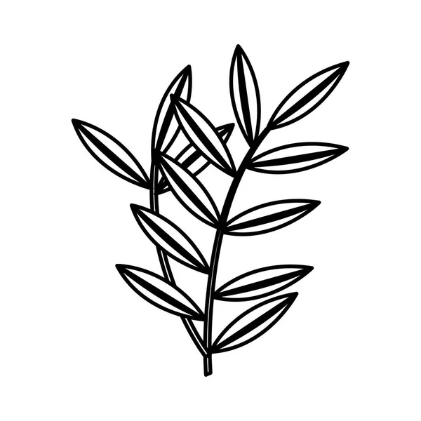 Bladeren van de plant natuurlijke pictogram — Stockvector