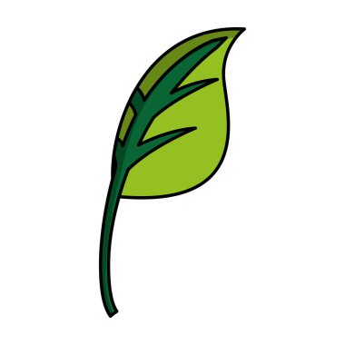 yaprak bitki ekoloji sembolü
