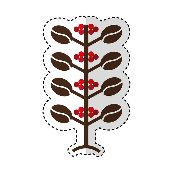 Coffee plant isolated icon — Stock Vector