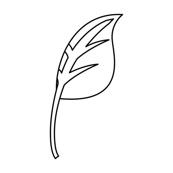 Blad plant ecologie symbool — Stockvector