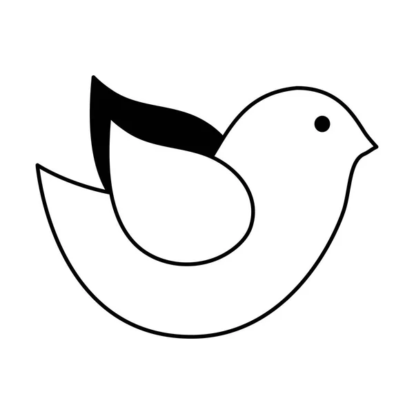 Ikona na białym tle ptak ładny — Wektor stockowy