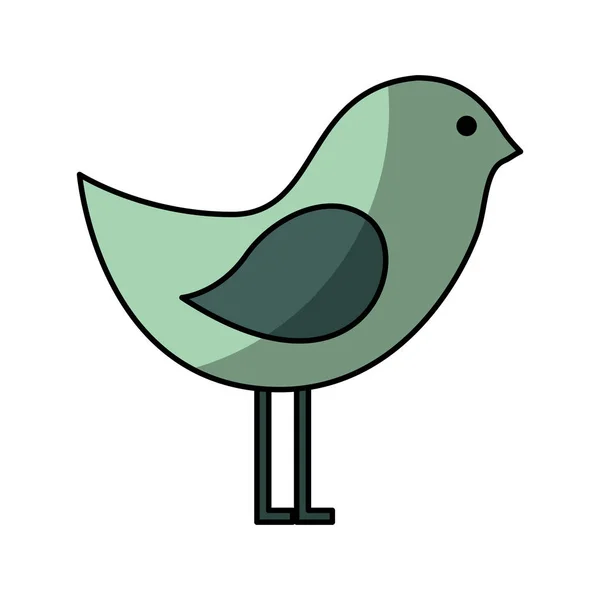 可爱的鸟孤立的图标 — 图库矢量图片